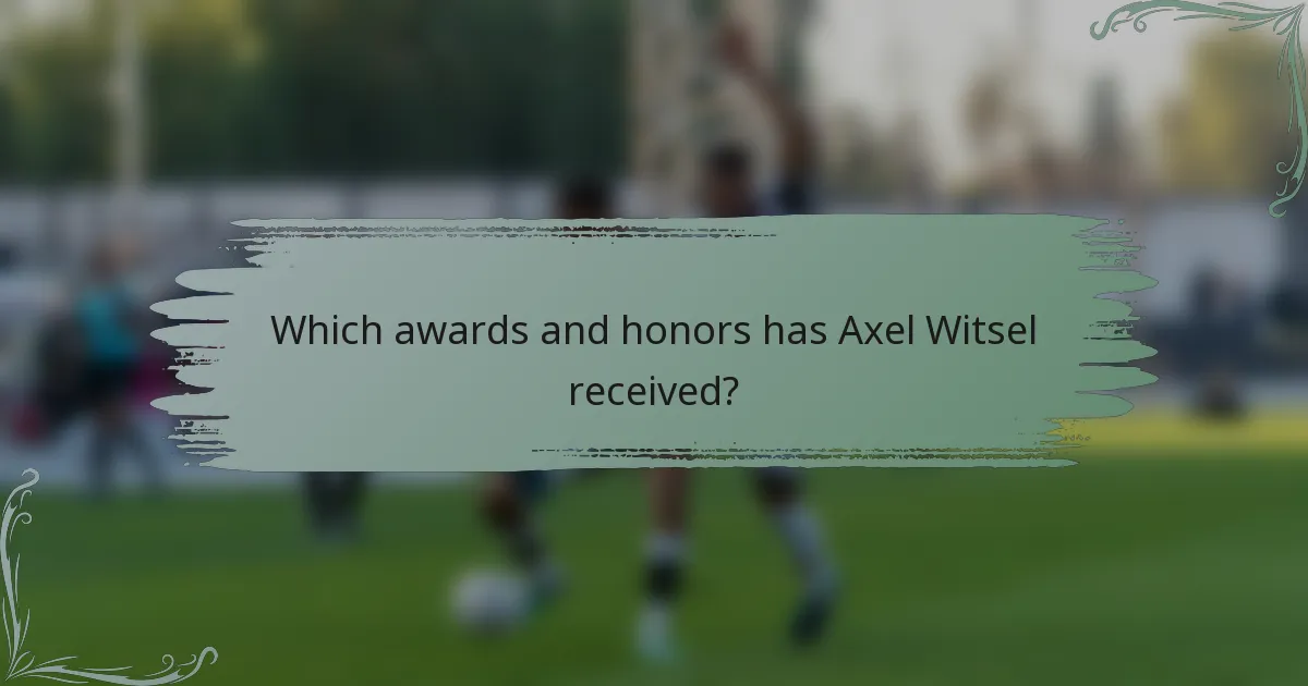 Which awards and honors has Axel Witsel received?